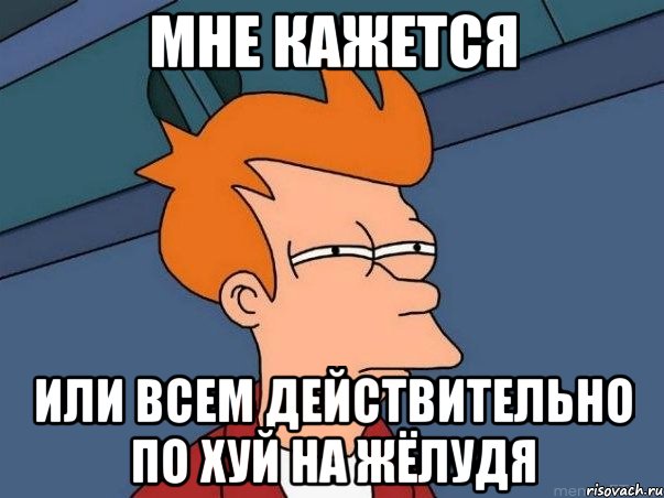 мне кажется или всем действительно по хуй на жёлудя, Мем  Фрай (мне кажется или)