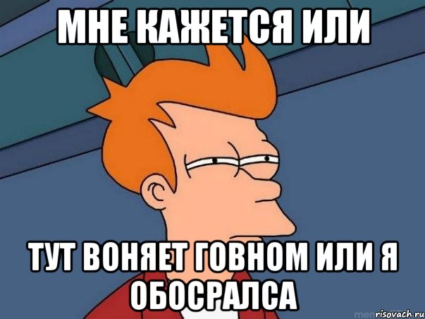 мне кажется или тут воняет говном или я обосралса, Мем  Фрай (мне кажется или)