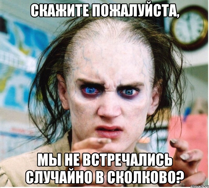 скажите пожалуйста, мы не встречались случайно в сколково?, Мем фродум