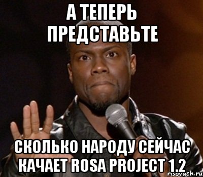 а теперь представьте сколько народу сейчас качает rosa project 1.2