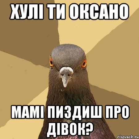 хулі ти оксано мамі пиздиш про дівок?, Мем голубь