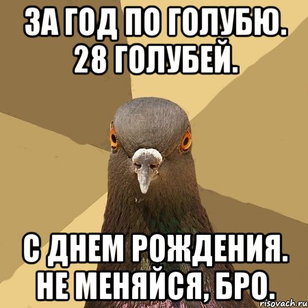 за год по голубю. 28 голубей. с днем рождения. не меняйся, бро., Мем голубь