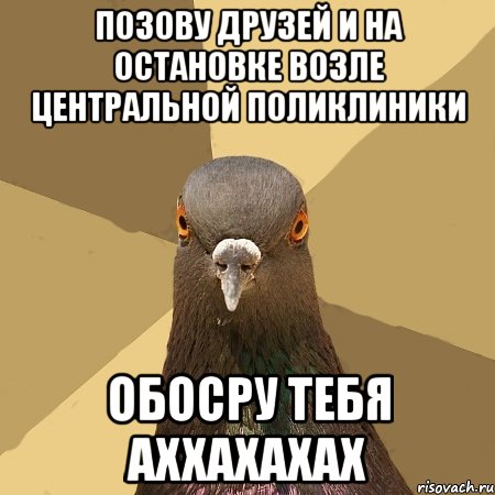 позову друзей и на остановке возле центральной поликлиники обосру тебя аххахахах, Мем голубь