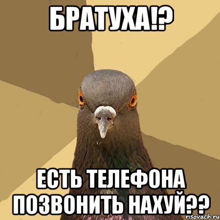 братуха!? есть телефона позвонить нахуй??