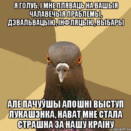 я голуб, і мне пляваць на вашыя чалавечыя праблемы, дэвальвацыю, інфляцыю, выбары але пачуўшы апошні выступ лукашэнка, нават мне стала страшна за нашу краіну