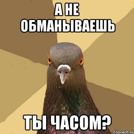 а не обманываешь ты часом?