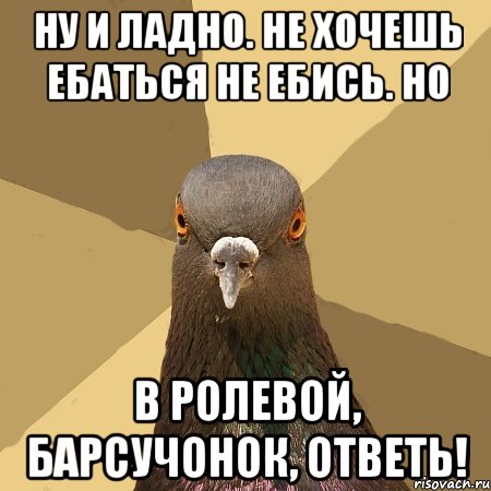 ну и ладно. не хочешь ебаться не ебись. но в ролевой, барсучонок, ответь!, Мем голубь