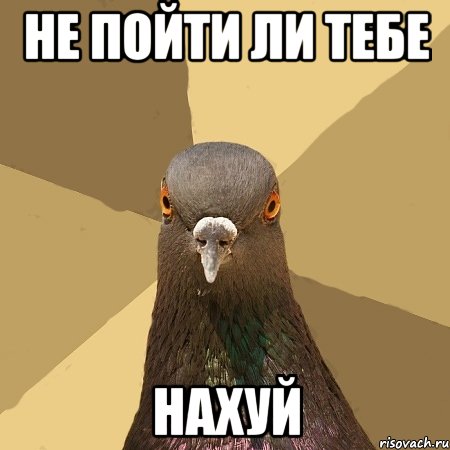 не пойти ли тебе нахуй