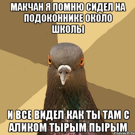 макчан я помню сидел на подоконнике около школы и все видел как ты там с аликом тырым пырым, Мем голубь