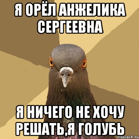 я орёл анжелика сергеевна я ничего не хочу решать,я голубь, Мем голубь