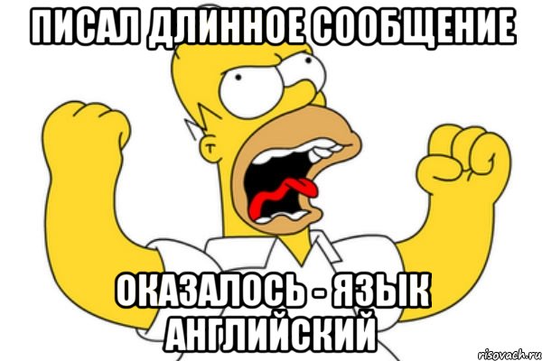 писал длинное сообщение оказалось - язык английский, Мем Разъяренный Гомер