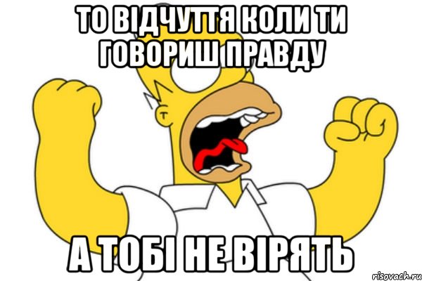 то відчуття коли ти говориш правду а тобі не вірять, Мем Разъяренный Гомер