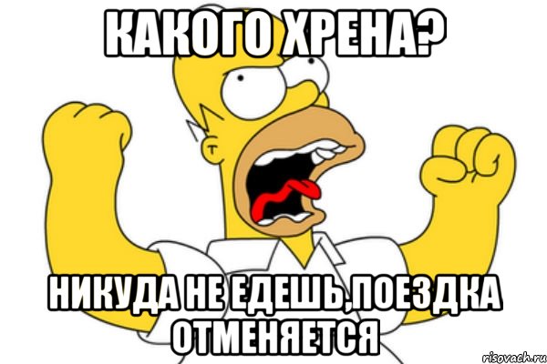 какого хрена? никуда не едешь,поездка отменяется, Мем Разъяренный Гомер