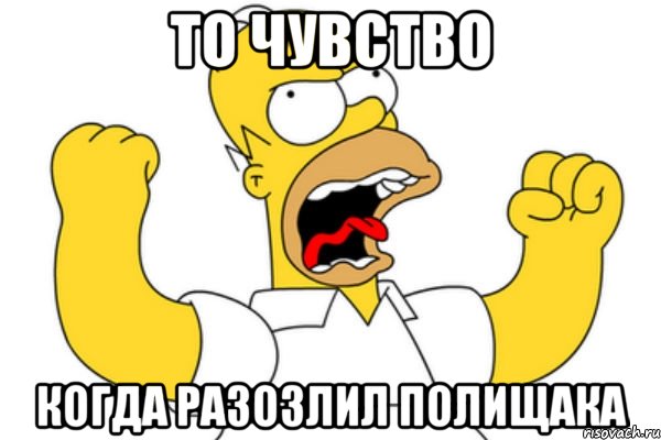 то чувство когда разозлил полищака, Мем Разъяренный Гомер