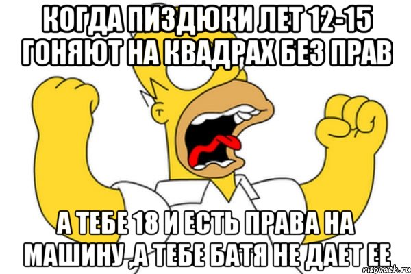 когда пиздюки лет 12-15 гоняют на квадрах без прав а тебе 18 и есть права на машину ,а тебе батя не дает ее, Мем Разъяренный Гомер