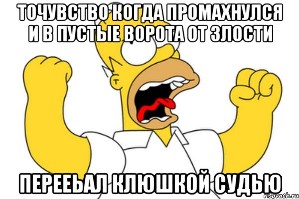 точувство когда промахнулся и в пустые ворота от злости перееьал клюшкой судью, Мем Разъяренный Гомер