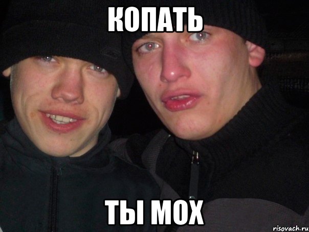 копать ты мох