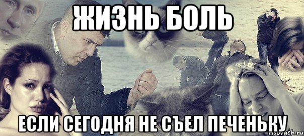 жизнь боль если сегодня не съел печеньку, Мем Грусть вселенская