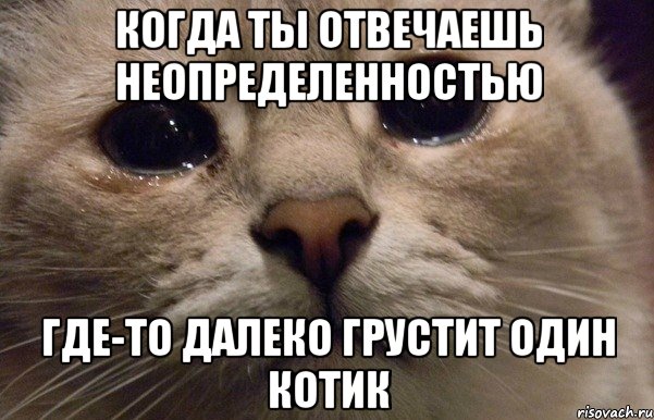 когда ты отвечаешь неопределенностью где-то далеко грустит один котик, Мем   В мире грустит один котик