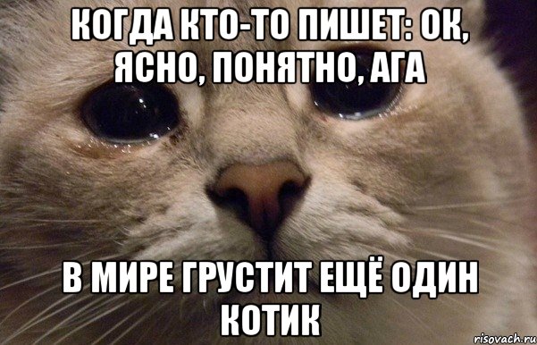 когда кто-то пишет: ок, ясно, понятно, ага в мире грустит ещё один котик, Мем   В мире грустит один котик