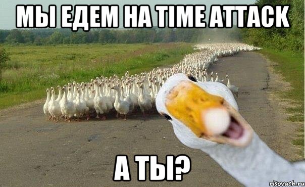 мы едем на time attack а ты?, Мем гуси