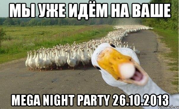 мы уже идём на ваше mega night party 26.10.2013, Мем гуси