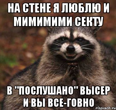 на стене я люблю и мимимими секту в "послушано" высер и вы все-говно, Мем  Хитрый енот