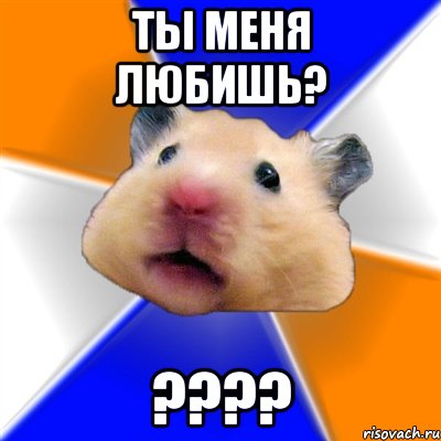 ты меня любишь? ???, Мем Хомяк