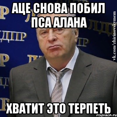 аце снова побил пса алана хватит это терпеть, Мем Хватит это терпеть (Жириновский)