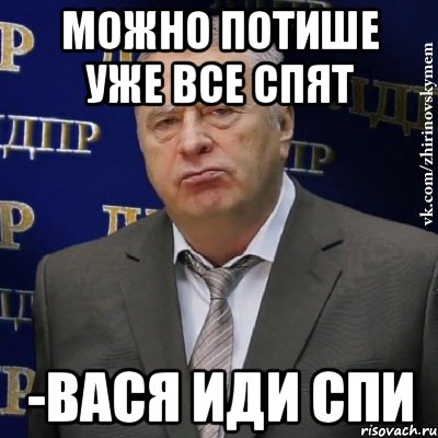 можно потише уже все спят -вася иди спи, Мем Хватит это терпеть (Жириновский)