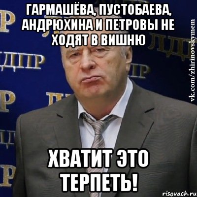 гармашёва, пустобаева, андрюхина и петровы не ходят в вишню хватит это терпеть!, Мем Хватит это терпеть (Жириновский)