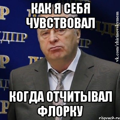 как я себя чувствовал когда отчитывал флорку, Мем Хватит это терпеть (Жириновский)