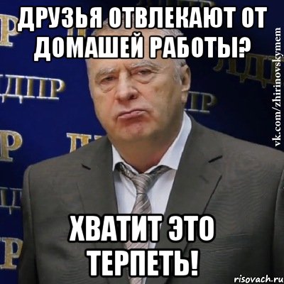 друзья отвлекают от домашей работы? хватит это терпеть!, Мем Хватит это терпеть (Жириновский)