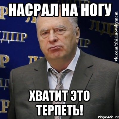 насрал на ногу хватит это терпеть!, Мем Хватит это терпеть (Жириновский)