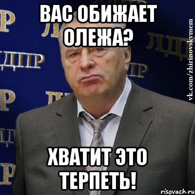 вас обижает олежа? хватит это терпеть!, Мем Хватит это терпеть (Жириновский)