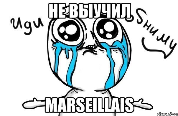 не выучил marseillais, Мем Иди обниму