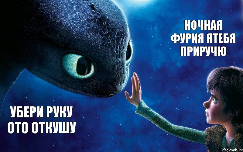 убери руку ото откушу Ночная фурия ятебя приручю