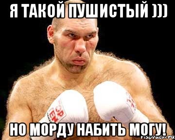 я такой пушистый ))) но морду набить могу!