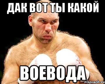 дак вот ты какой воевода
