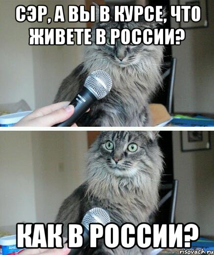 сэр, а вы в курсе, что живете в россии? как в россии?, Комикс  кот с микрофоном