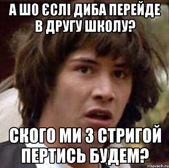 а шо єслі диба перейде в другу школу? ского ми з стригой пертись будем?, Мем А что если (Киану Ривз)