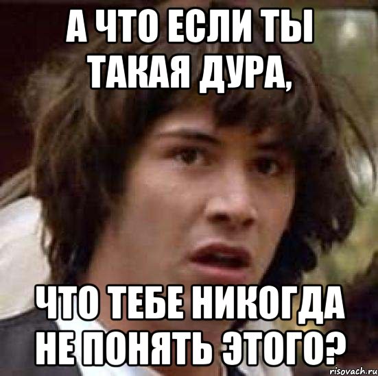 а что если ты такая дура, что тебе никогда не понять этого?, Мем А что если (Киану Ривз)