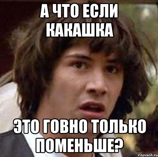 а что если какашка это говно только поменьше?, Мем А что если (Киану Ривз)