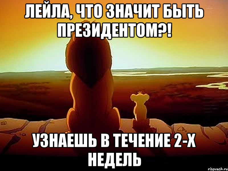 лейла, что значит быть президентом?! узнаешь в течение 2-х недель, Мем  король лев