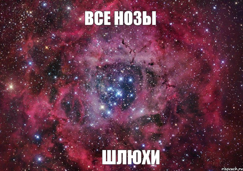 ВСЕ НОЗЫ ШЛЮХИ