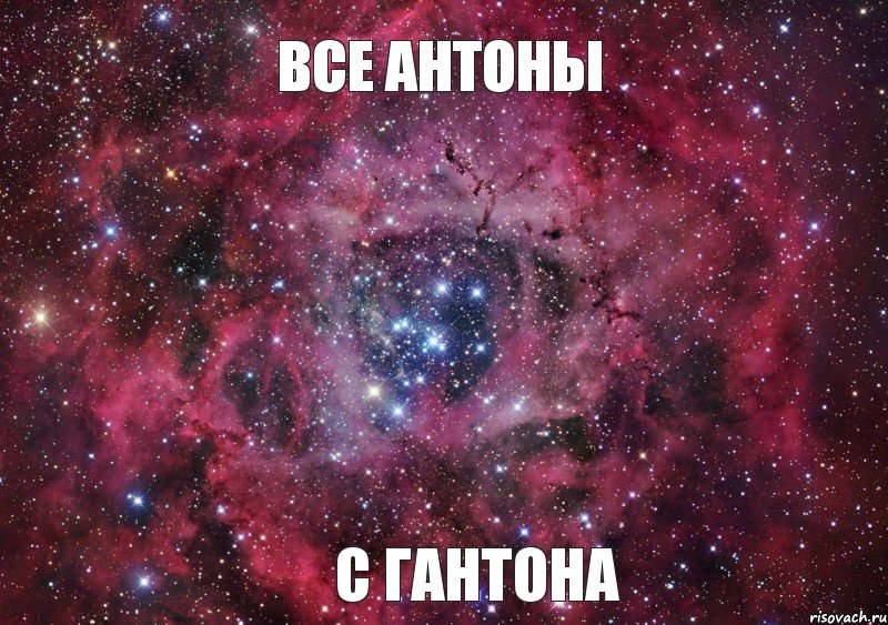 Все Антоны С Гантона