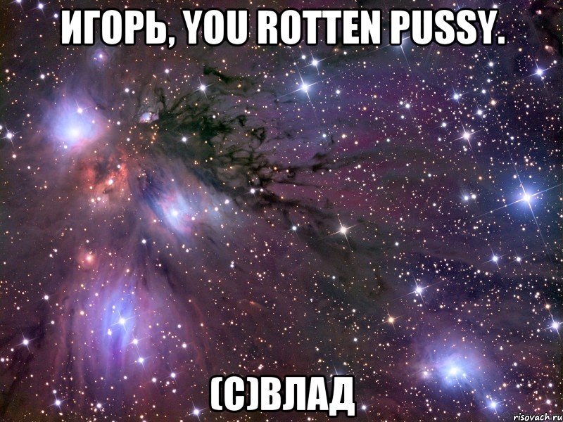 игорь, you rotten pussy. (с)влад, Мем Космос