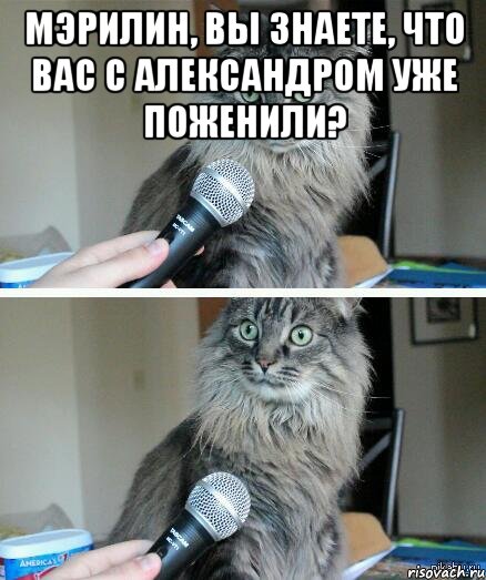 мэрилин, вы знаете, что вас с александром уже поженили? , Комикс  кот с микрофоном