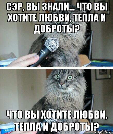 сэр, вы знали... что вы хотите любви, тепла и доброты? что вы хотите любви, тепла и доброты?, Комикс  кот с микрофоном