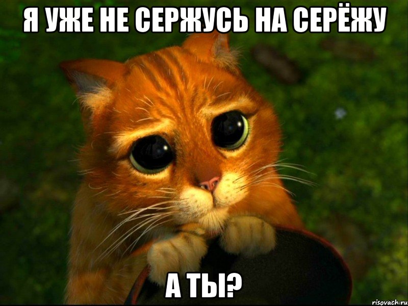 я уже не сержусь на серёжу а ты?, Мем кот из шрека